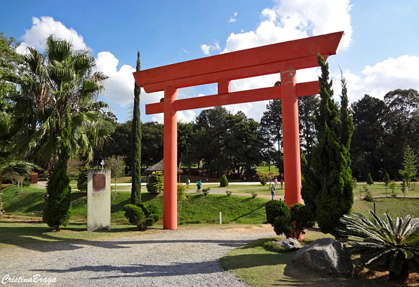 O QUE FAZER NO PARQUE DA CIDADE DE JUNDIAÍ? 🤔 Separei aqui uma listin