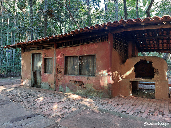 Parque da Agua Branca