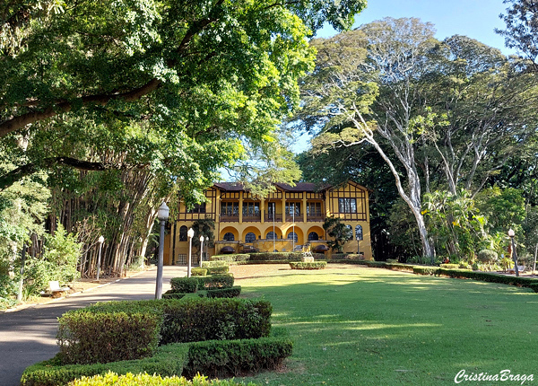 Parque da Água Branca - Flores e Folhagens