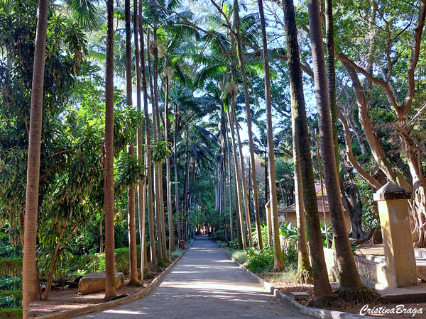 Parque da Agua Branca